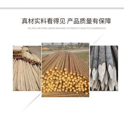 咸 寧通山 12公分杉木樁護岸圍堰打樁木原木 制作工廠 優選木業 a