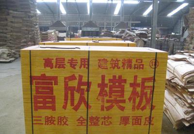 湖南建筑模板 湖南建筑模板廠家直銷(xiāo) 可用10-12次圖片_高清圖_細(xì)節(jié)圖-沭陽(yáng)縣龍廟鎮(zhèn)富欣木業(yè)制品廠 -
