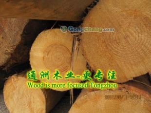 供應通洲木業鐵杉建筑木材,落葉松方木,鐵杉建筑木方加工通洲木業_紡織皮革_世界工廠網中國產品信息庫